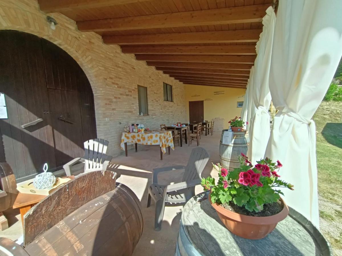 Il podere del nonno Bed and Breakfast Ripatransone Eksteriør billede